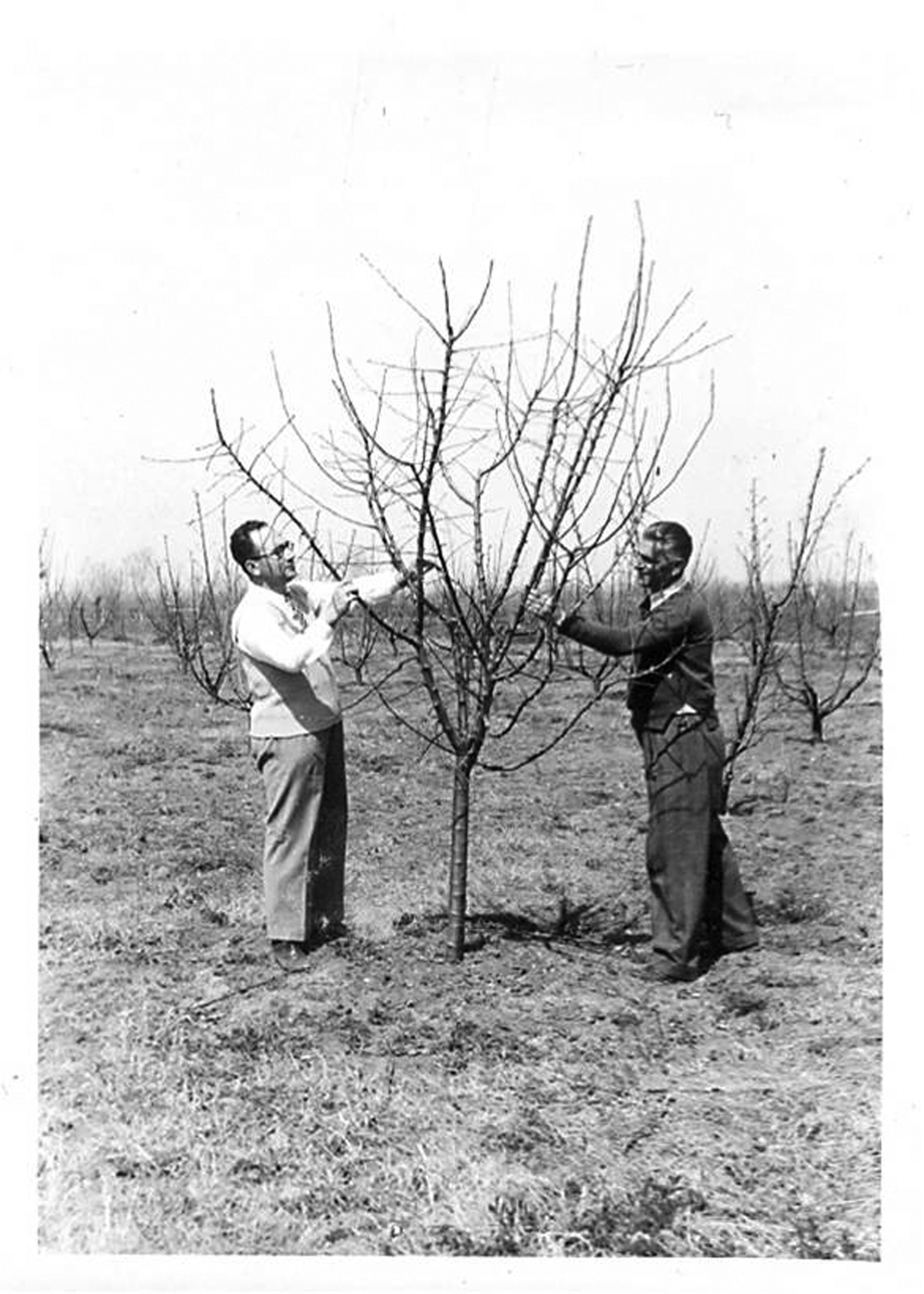 Historic field work at Efthymiadis