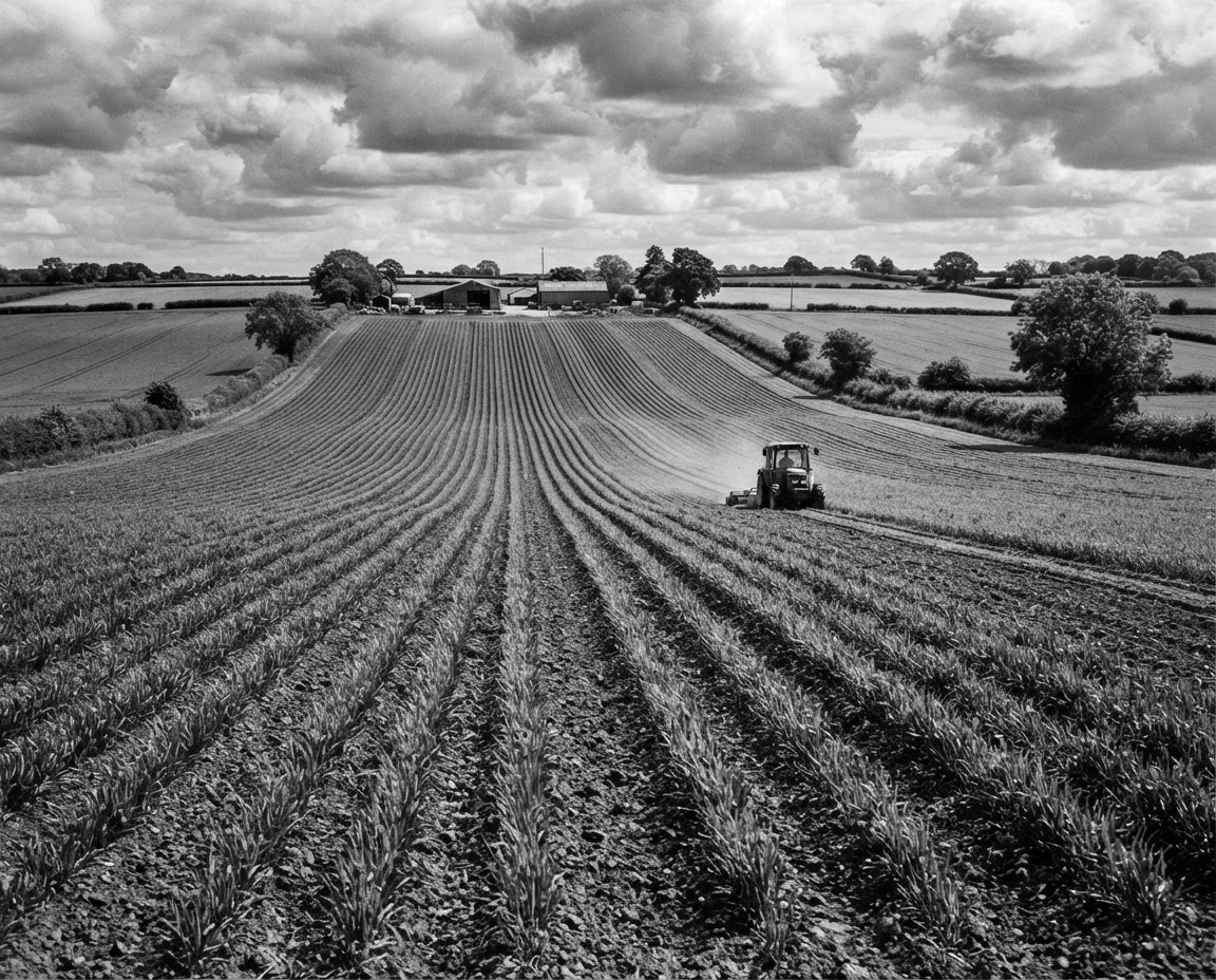 Agricultural fields